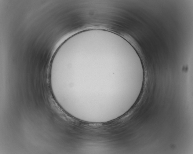 X0000111231052200907161312