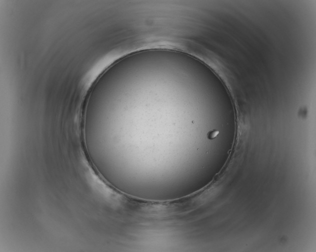X0000111231054200907161312