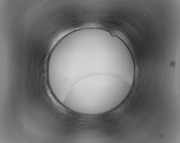X0000111231055200907161312