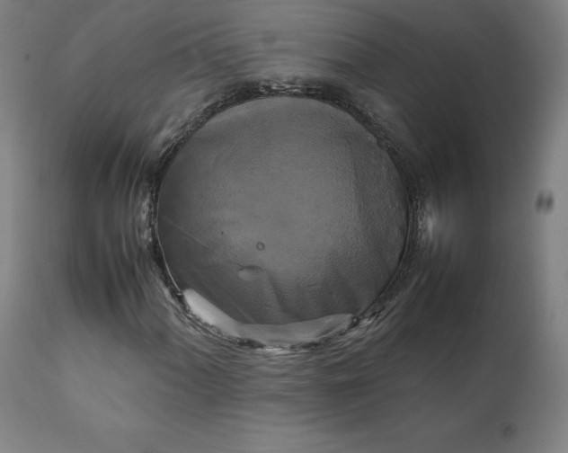 X0000111231060200907161311