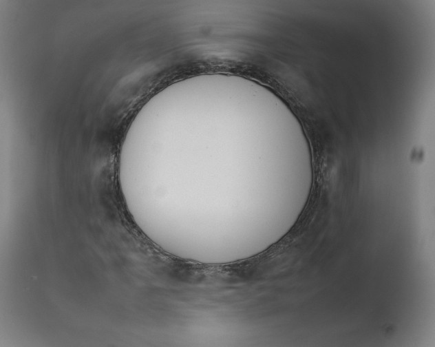 X0000111231061200907161311