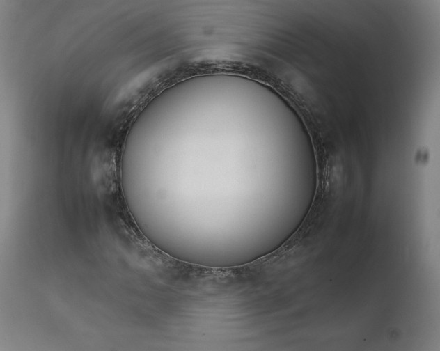 X0000111231062200907161311
