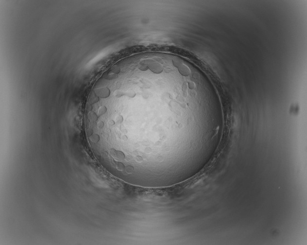 X0000111231063200907161311
