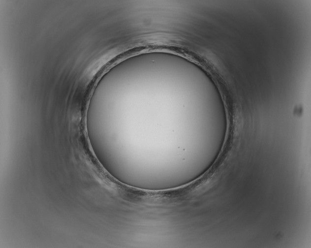 X0000111231065200907161311