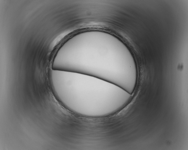 X0000111231066200907161311