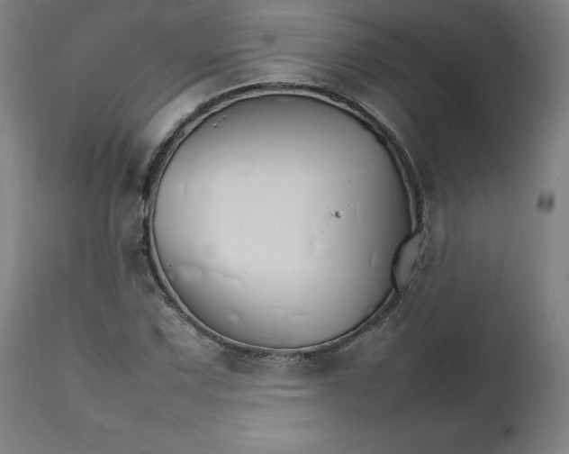 X0000111231067200907161311