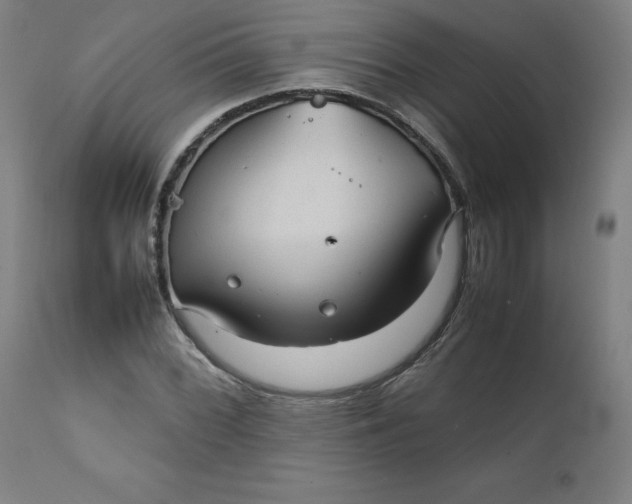X0000111231068200907161311