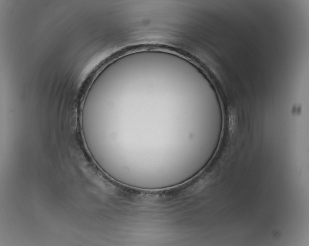 X0000111231069200907161311