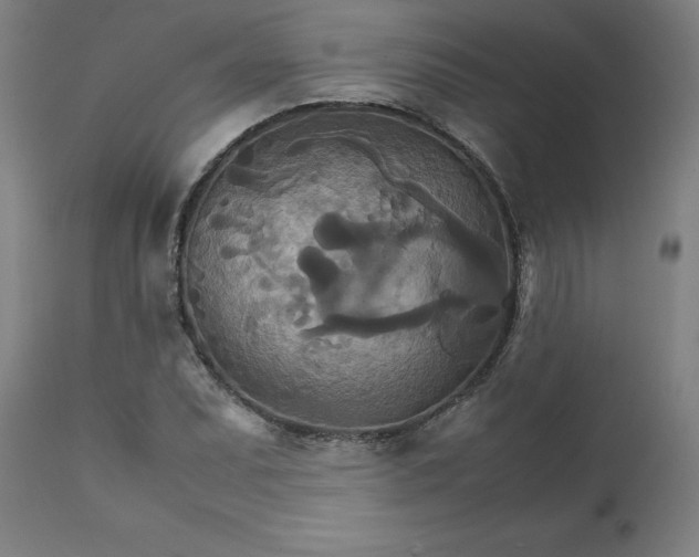 X0000111231071200907161311