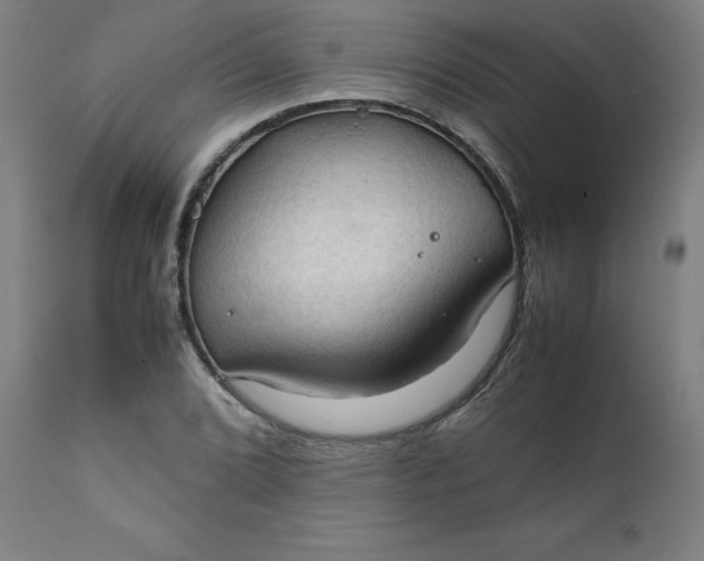 X0000111231072200907161311