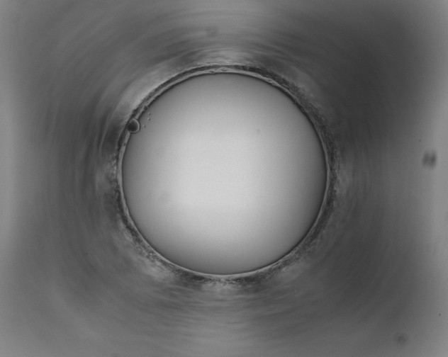 X0000111231073200907161311