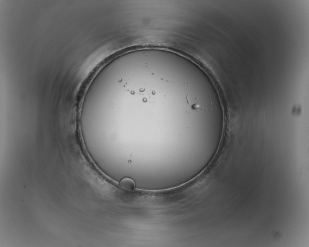 X0000111231075200907161311