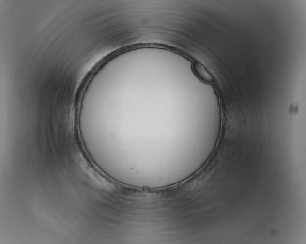 X0000111231076200907161311