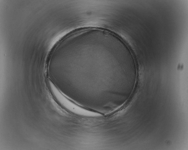X0000111231077200907161311