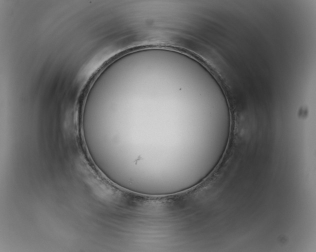X0000111231078200907161311