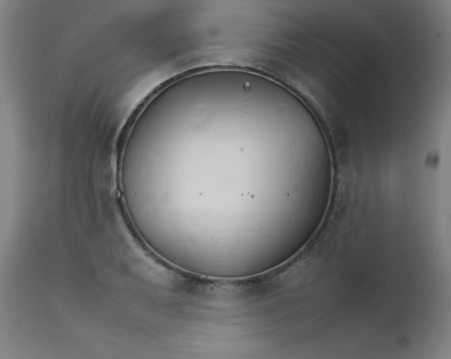 X0000111231079200907161311