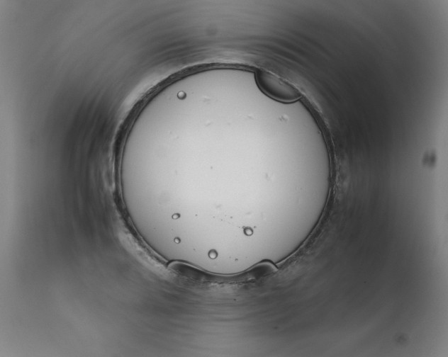 X0000111231080200907161311