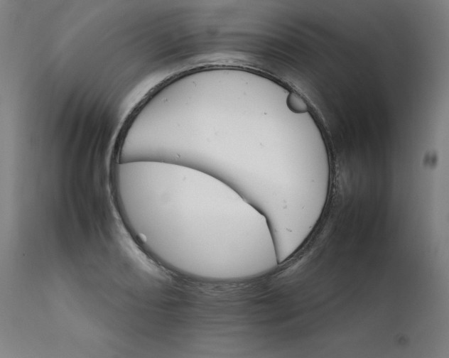 X0000111231082200907161311