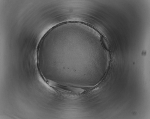 X0000111231084200907161311