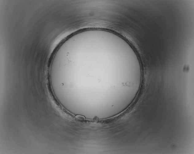 X0000111231085200907161311