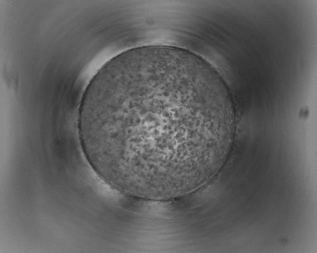 X0000111231086200907161311
