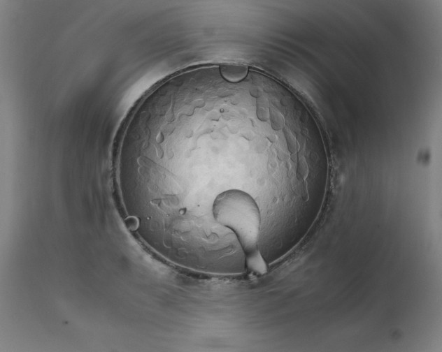 X0000111231087200907161311