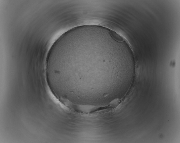 X0000111231088200907161310
