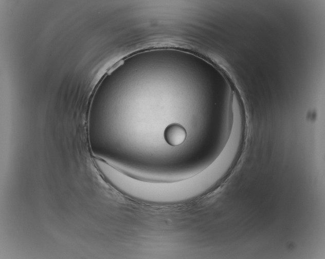 X0000111231089200907161310