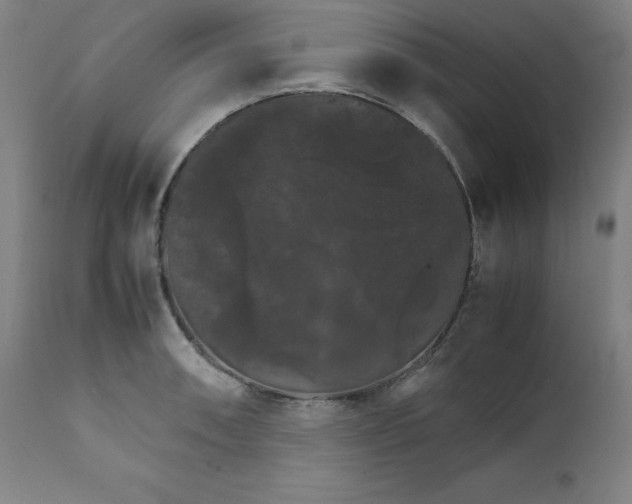 X0000111231090200907161310