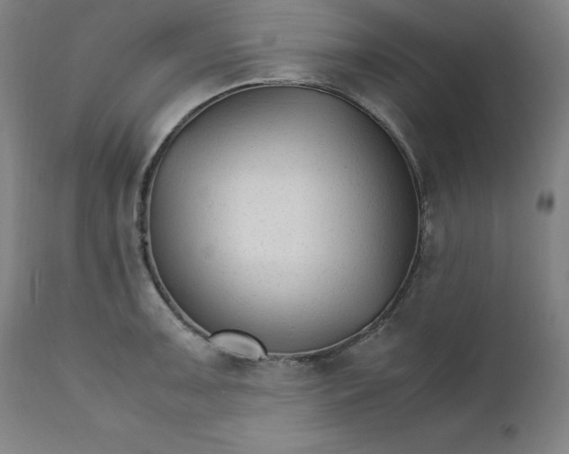 X0000111231091200907161310