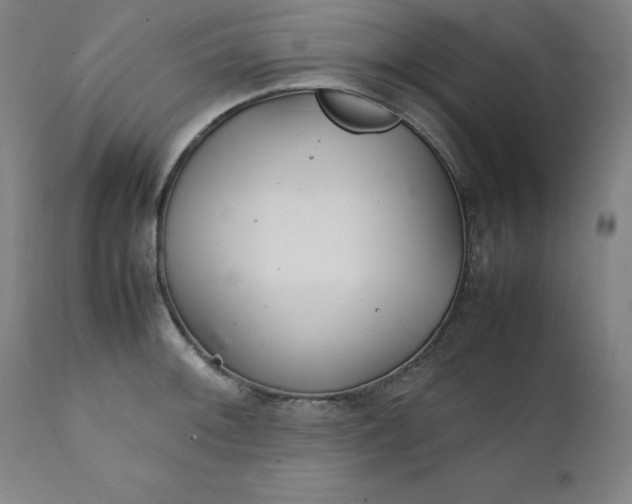 X0000111231092200907161310