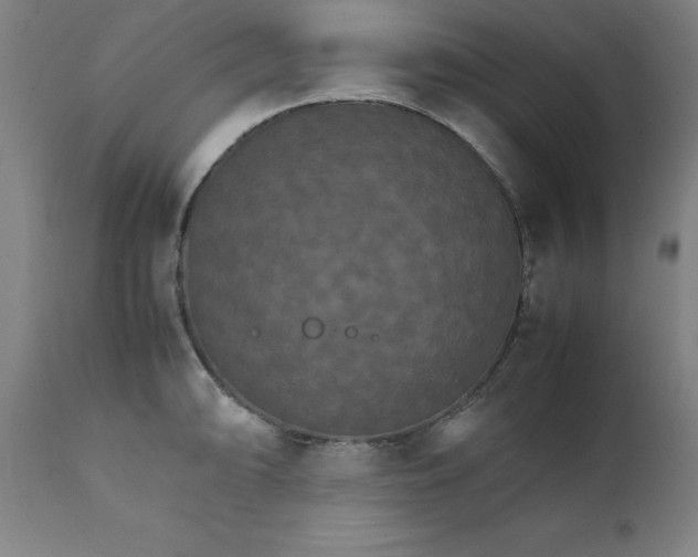X0000111231094200907161310