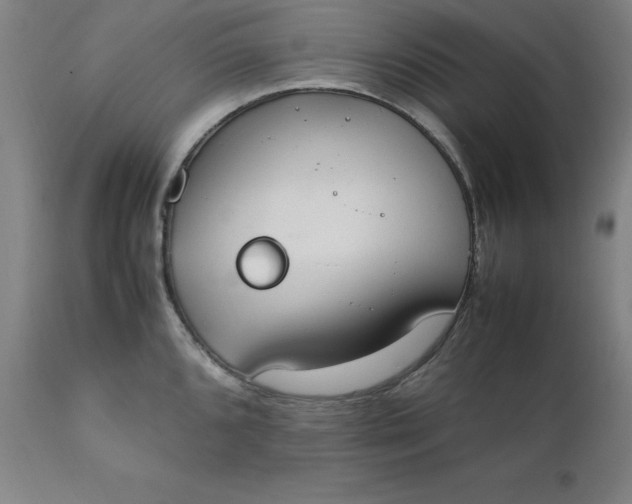 X0000111231096200907161310