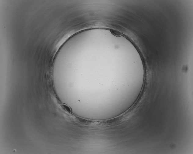 X0000111231097200907161310