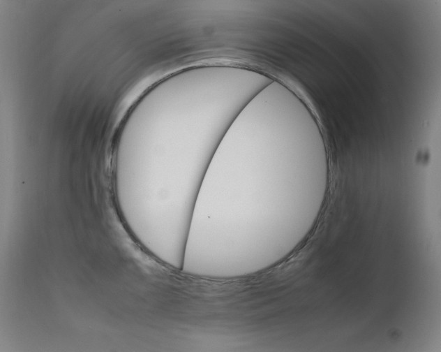 X0000111231099200907161310