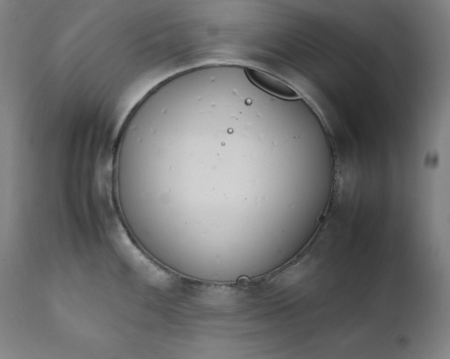 X0000111231100200907161310