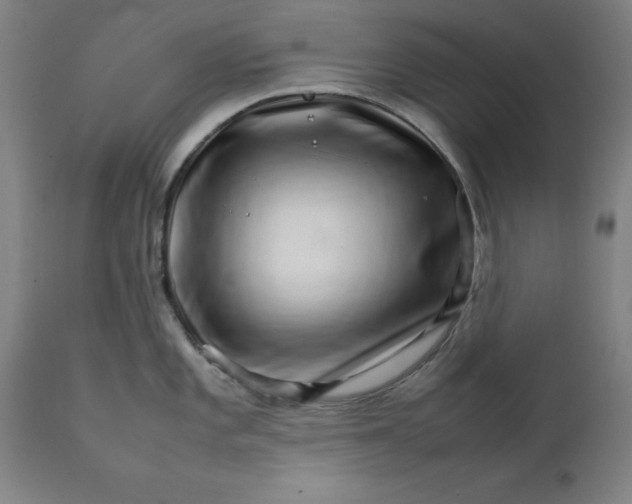 X0000111231101200907161310