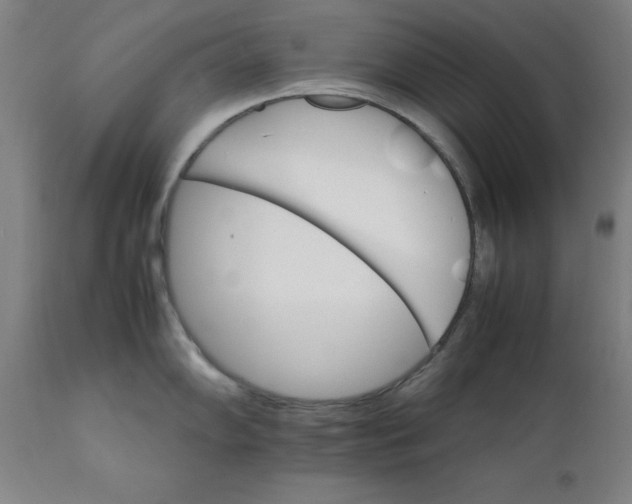 X0000111231102200907161310