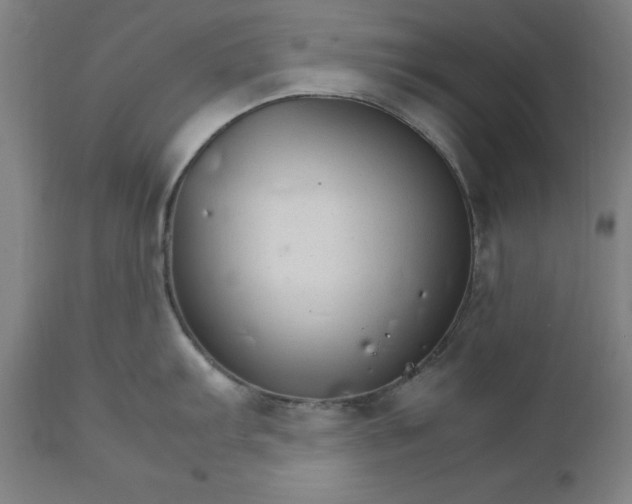 X0000111231103200907161310