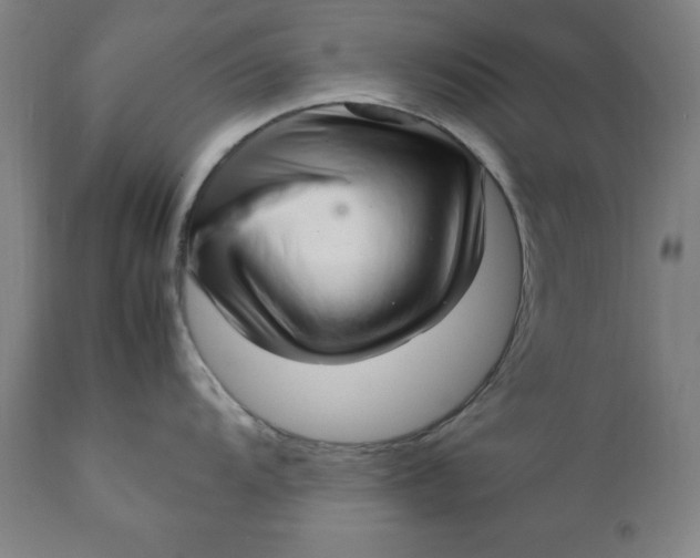 X0000111231104200907161310