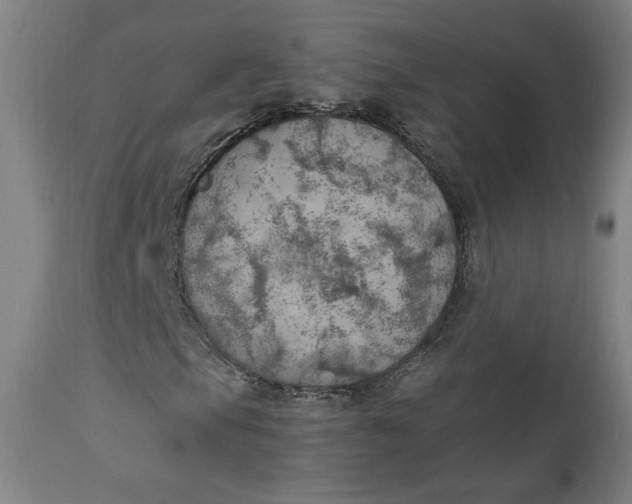 X0000111231105200907161309