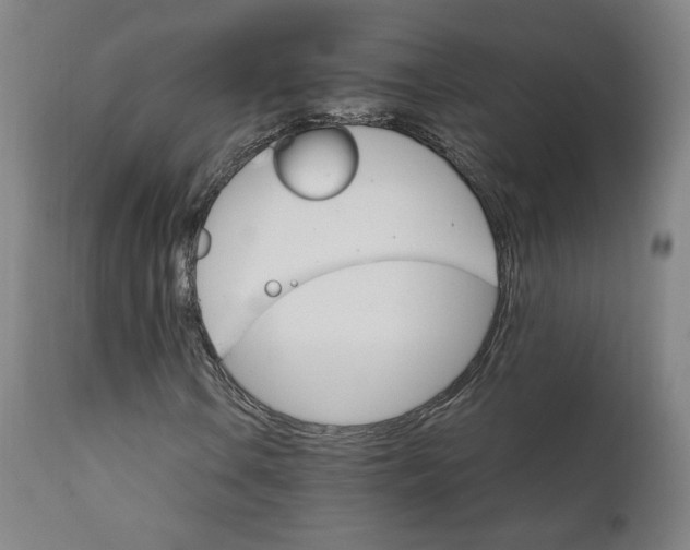 X0000111231106200907161309