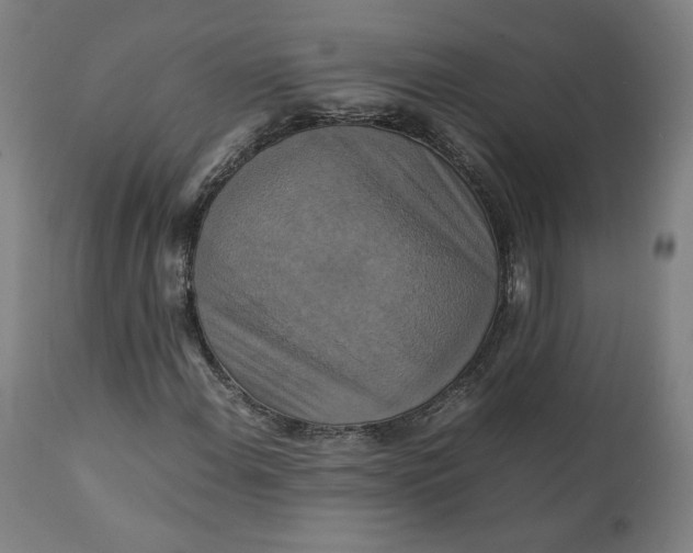 X0000111231108200907161309