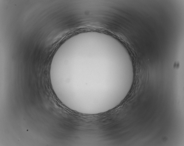 X0000111231110200907161309