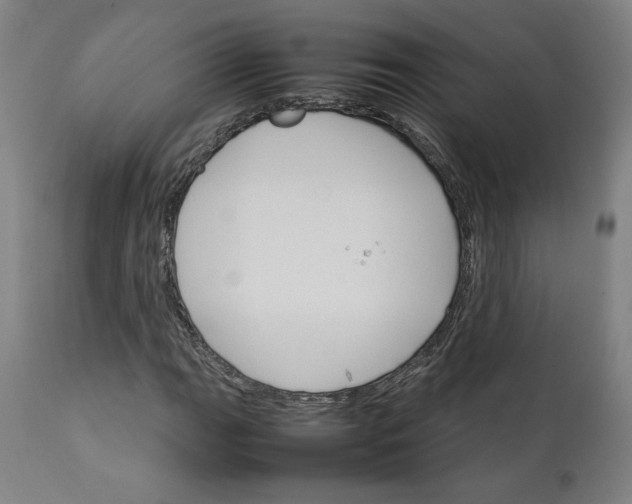 X0000111231111200907161309