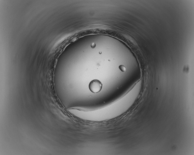 X0000111231112200907161309