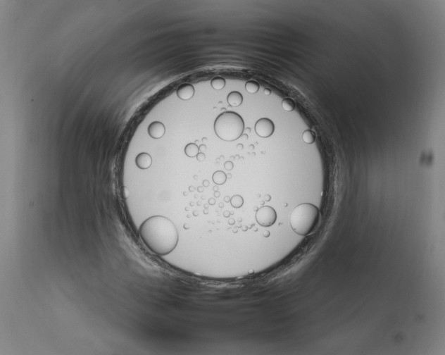 X0000111231113200907161309