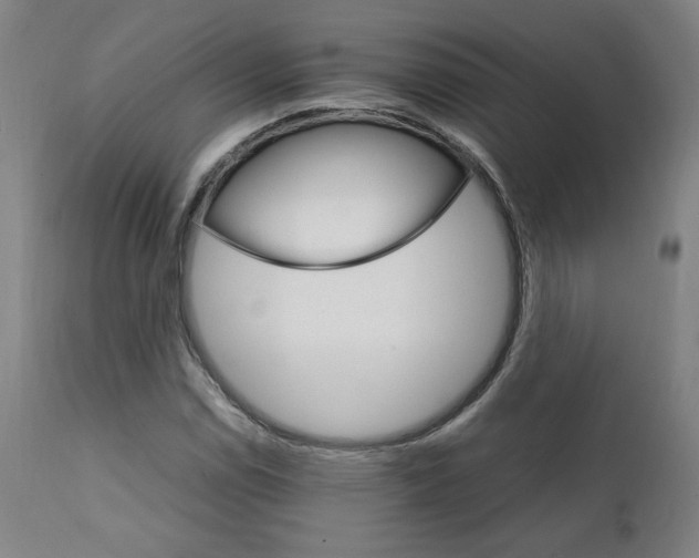X0000111231114200907161309