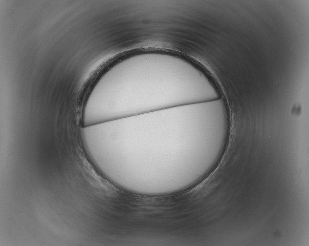 X0000111231115200907161309