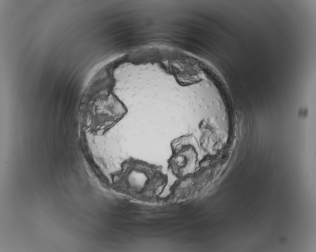 X0000111231117200907161309